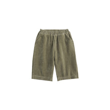 Load image into Gallery viewer, D23319TG-Versatile corduroy solid color children's casual pants
