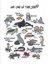 將圖片載入圖庫檢視器 070605AC-兒童字母數字防水貼畫裝飾圖(2個起批)