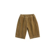 Load image into Gallery viewer, D23319TG-Versatile corduroy solid color children's casual pants