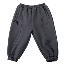 Load image into Gallery viewer, D83393PA-Autumn and winter bicycle leisure plus velvet sports trousers