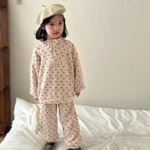 Load image into Gallery viewer, C83988TG- Spring Loose Casual Zipper Neck Top + Pants Two-piece Set
