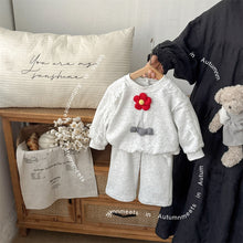 Load image into Gallery viewer, 2534007TG-秋季韓版嬰幼兒小花蕾絲長袖花邊棉質上衣長褲兩件套