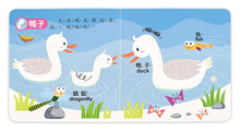 Load image into Gallery viewer, <Taiwan Pavilion> Windmill Publishing House-Little Hands Press Audiobook