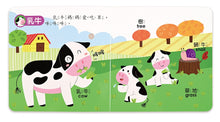 Load image into Gallery viewer, <Taiwan Pavilion> Windmill Publishing House-Little Hands Press Audiobook