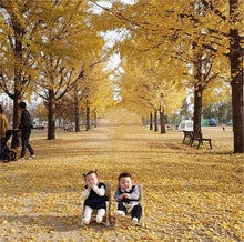 Load image into Gallery viewer, 30708AC-Cute Bear Convenient Folding Baby Picnic Chair