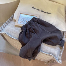 Load image into Gallery viewer, 21512PA-Spring Korean style harem pants