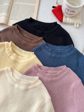 將圖片載入圖庫檢視器 2025Q79SE-秋冬季百搭針織多色毛衣
