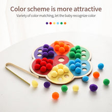 Load image into Gallery viewer, PMZ1258AC-Puzzle color classification flower rainbow board clip ball toy
