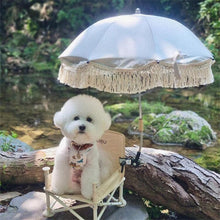 Load image into Gallery viewer, 30708AC-Cute Bear Convenient Folding Baby Picnic Chair 
